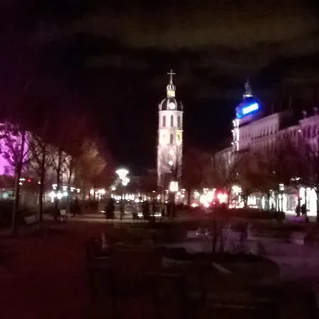 Les Allees De Bellecour Apartment *