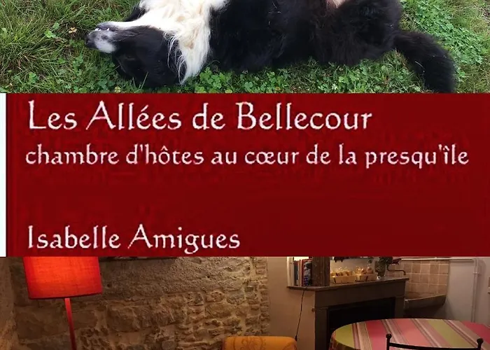 Les Allées De Bellecour * Lyon