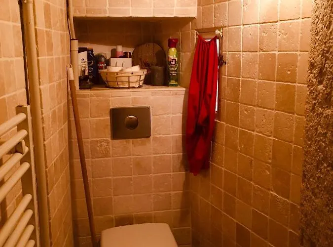 Les Allées De Bellecour Apartamento *