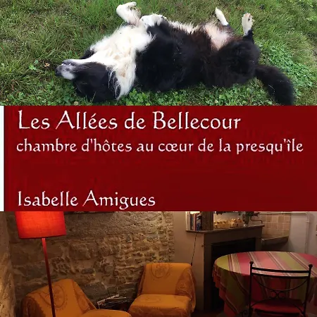 Les Allees De Bellecour * ליון